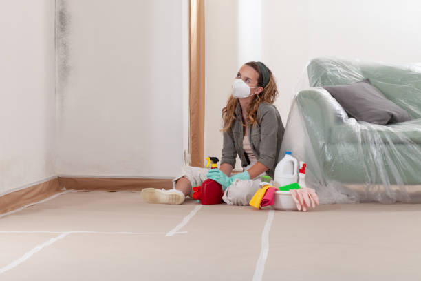 Reliable Mold Removal contractor in Phoenix, MD by WQB Mold Removal